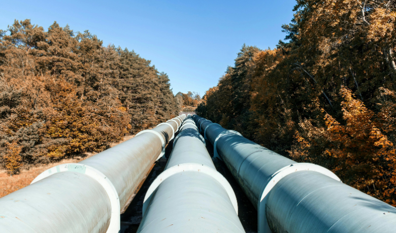 Paulo Roberto Gomes Fernandes comenta que decisão judicial destravou etapa decisiva do projeto do oleoduto sob o Lago Michigan.