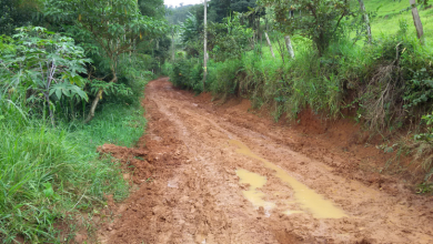 Homem morre em acidente na zona rural de Porto Grande no Amapá