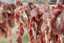 Carne de animais silvestres em feira de Macapá reacende debate sobre consumo ilegal e riscos à saúde