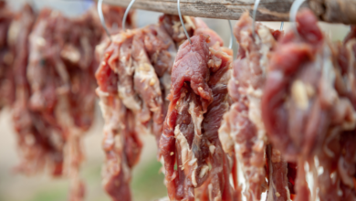 Carne de animais silvestres em feira de Macapá reacende debate sobre consumo ilegal e riscos à saúde