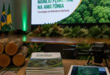 Manejo Florestal Sustentável na Amazônia: Como a Tecnologia Posicionou o Amapá como Referência Nacional