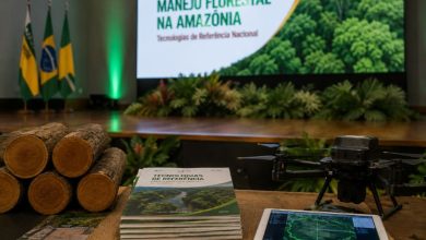 Manejo Florestal Sustentável na Amazônia: Como a Tecnologia Posicionou o Amapá como Referência Nacional