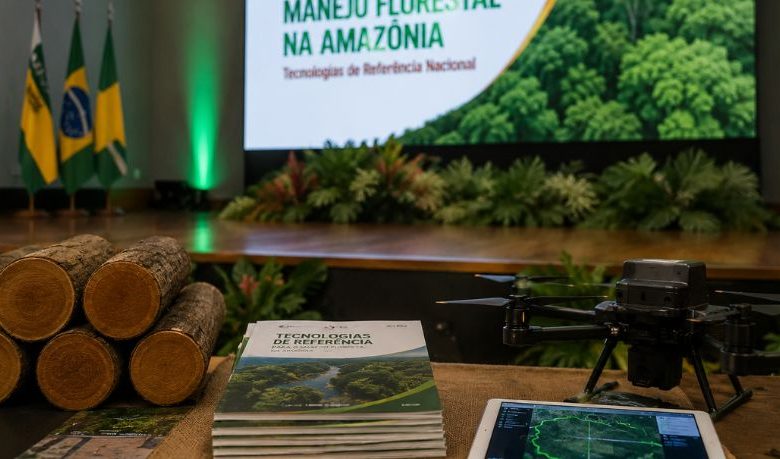 Manejo Florestal Sustentável na Amazônia: Como a Tecnologia Posicionou o Amapá como Referência Nacional