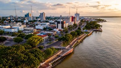 O que o novo plano de sociobioeconomia do Amapá pode mudar na vida de quem vive da floresta?