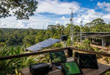 Amapá aposta em tecnologia para fortalecer a bioeconomia da Amazônia: o que muda para o estado nos próximos anos?