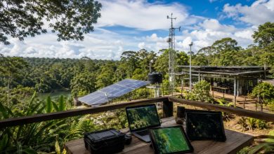 Amapá aposta em tecnologia para fortalecer a bioeconomia da Amazônia: o que muda para o estado nos próximos anos?