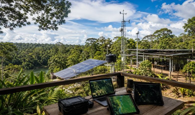 Amapá aposta em tecnologia para fortalecer a bioeconomia da Amazônia: o que muda para o estado nos próximos anos?