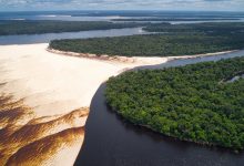Vista aérea de bancos de areia expostos às margens de um rio amazônico, cercado por áreas de floresta.