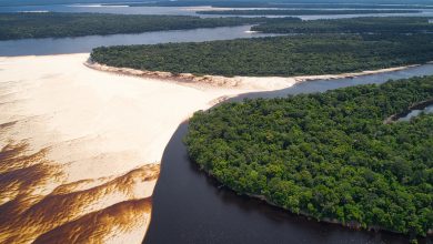 Vista aérea de bancos de areia expostos às margens de um rio amazônico, cercado por áreas de floresta.