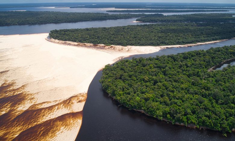 Vista aérea de bancos de areia expostos às margens de um rio amazônico, cercado por áreas de floresta.